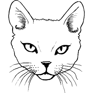 Cat Face