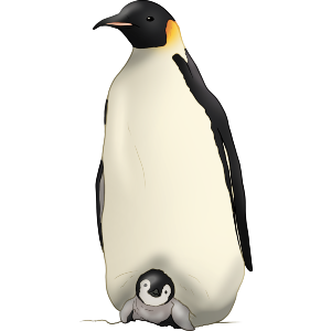 Emperor Penguin Family