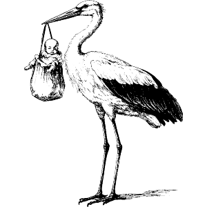 Stork Delivering Baby