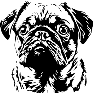 Pug Portrait