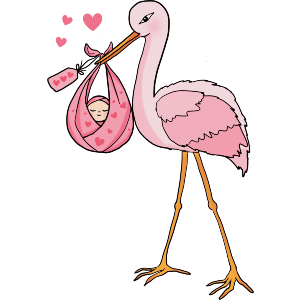 Stork Delivering Baby Girl