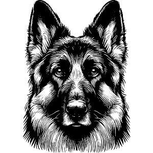 German Shepherd Dog