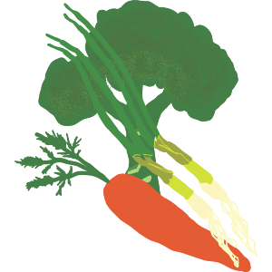 Broccoli Carrots And Spring onions