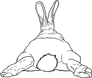 Rabbit Bottom