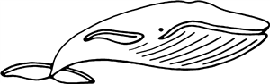 Whale