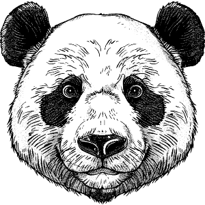 Panda Head