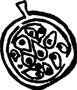 Pomegranate