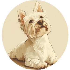 Westie Dog Laying Down