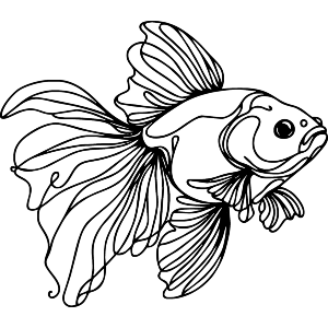 Fish Doodle