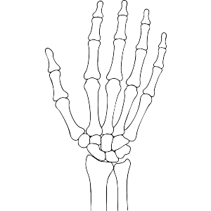 Skellington hand
