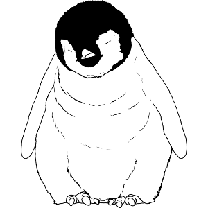 Penguin Chick