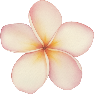 Tropical Frangipani Flower