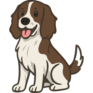 English Springer Spaniel