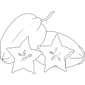 Star Fruit Illustration