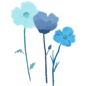 Spring Flowers