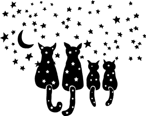 Star Cats