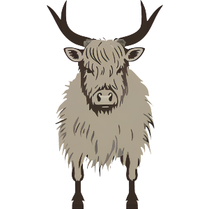 Scottish Highland Cow