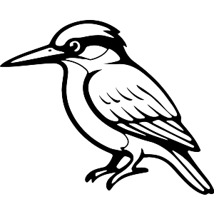 Perched Kingfisher