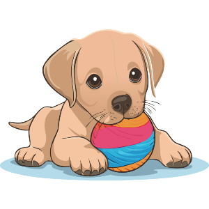 Labrador Retriever Puppy With A Colorful Ball