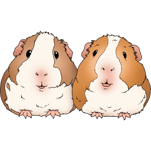 Cuddling Guinea Pigs