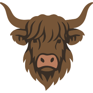 Highland Cow Head