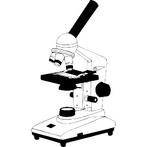 Microscope with Slide