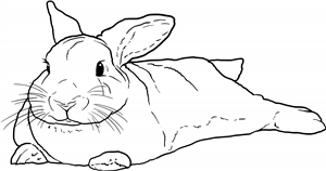 Chubby Bunny