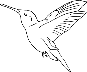 Hummingbird