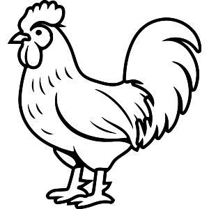 Standing Rooster