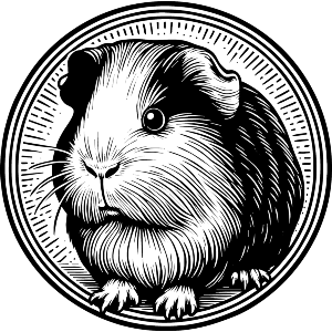 Guinea Pig