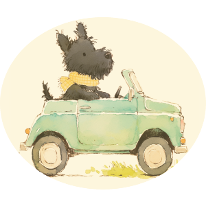 Cute Scottish Terrier Driving