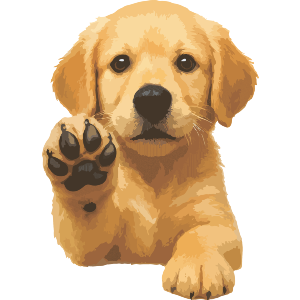 Adorable Golden Retriever Puppy