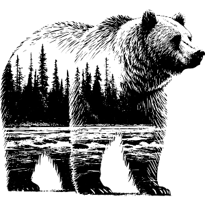 Grizzly Bear