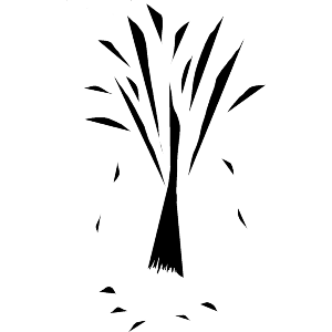 Autumn Leaves Falling