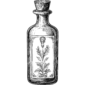 Antique Bottle