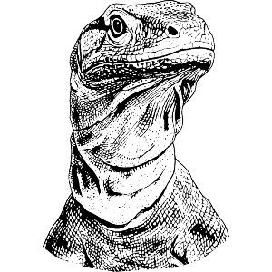 Komodo Dragon Portrait