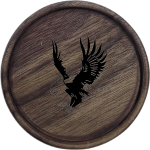 Eagle Coaster