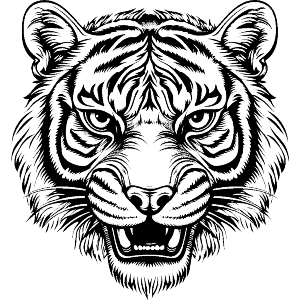 Tiger Head