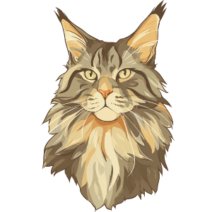 Maine Coon Cat Portrait