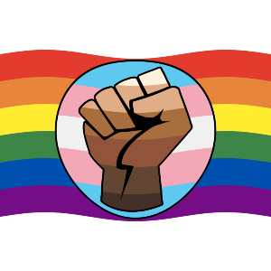 Waving Rainbow QPOC and Trans Flag