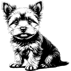 Cute Yorkshire Terrier Puppy Sitting