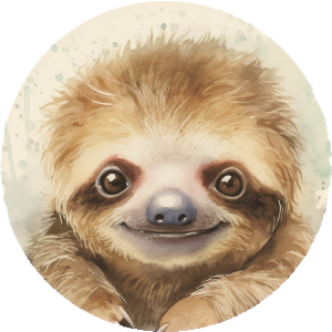 Cute Baby Sloth
