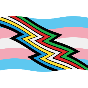 Waving Transgender-Disability-Alt Flag