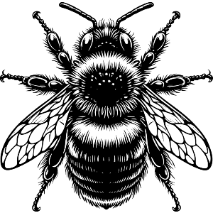 Bumblebee Resting