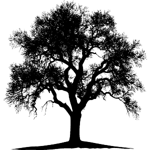 Tree Silhouette