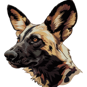 African Wild Dog Side View