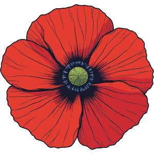 Poppy Flower Top View