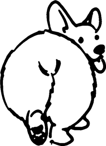 Corgi Bottom
