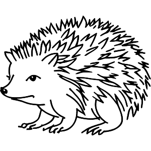 Hedgehog