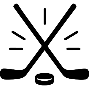 Hockey Sticks and Puck